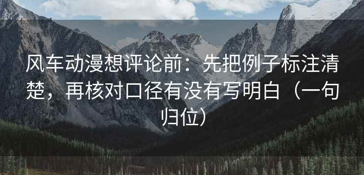 风车动漫想评论前：先把例子标注清楚，再核对口径有没有写明白（一句归位）
