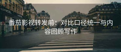 番茄影视转发前：对比口径统一与内容回顾写作
