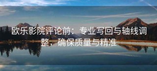 欧乐影院评论前：专业写回与轴线调整，确保质量与精准