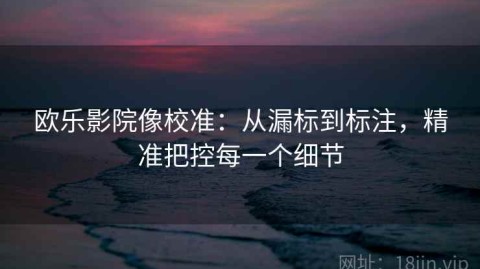 欧乐影院像校准：从漏标到标注，精准把控每一个细节
