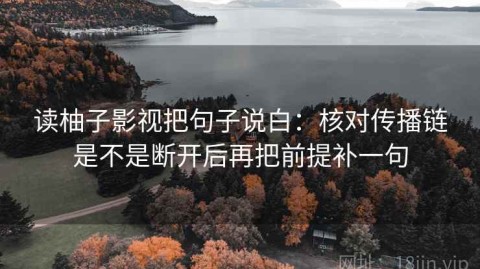 读柚子影视把句子说白：核对传播链是不是断开后再把前提补一句