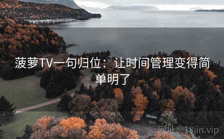 菠萝TV一句归位：让时间管理变得简单明了